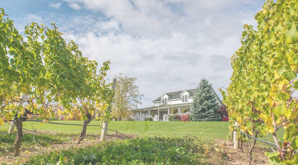 featherstone-estate-winery